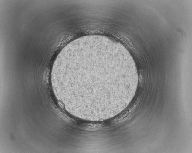 X0000114440458200911271642