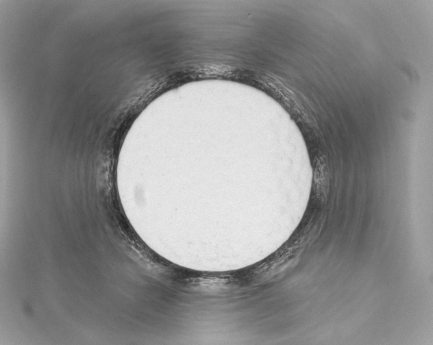 X0000114440462200911271642