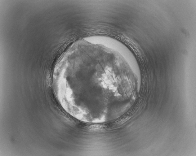 X0000114440465200911271642