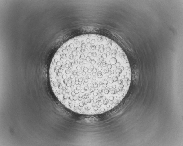 X0000114440466200911271642