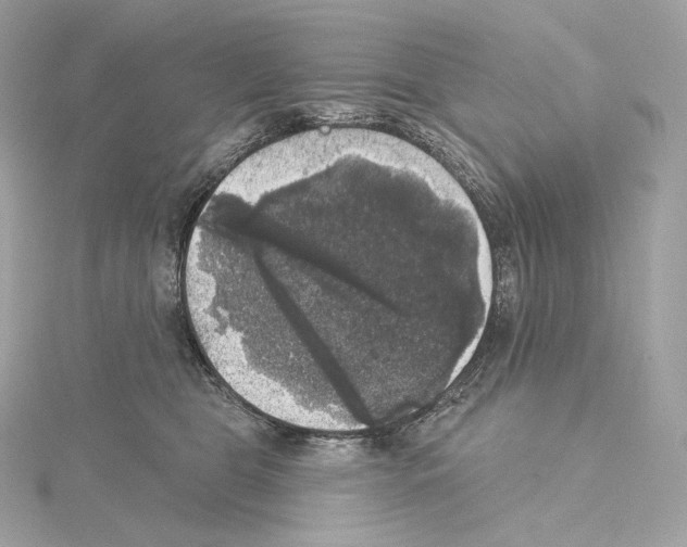 X0000114440469200911271642