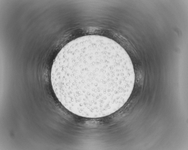 X0000114440470200911271642