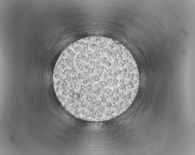 X0000114440474200911271642