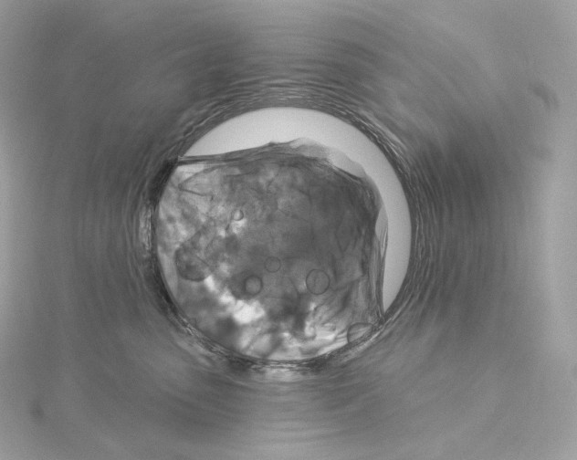 X0000114440475200911271642