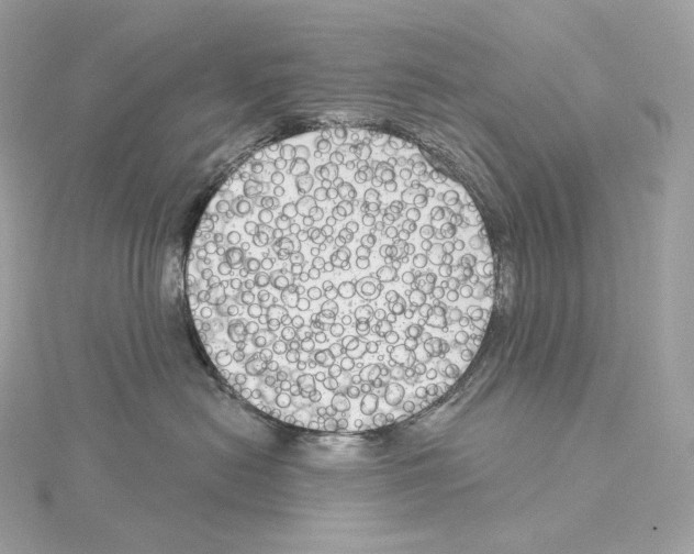 X0000114440478200911271642