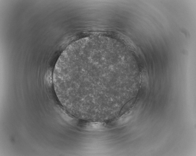 X0000114440479200911271642