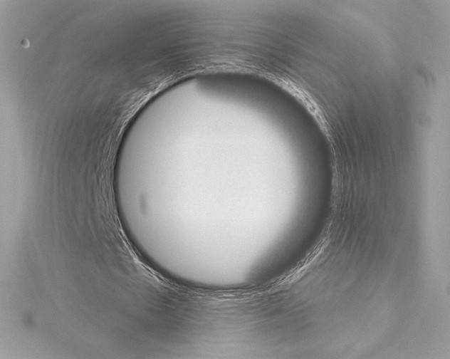 X0000114440481200911271641