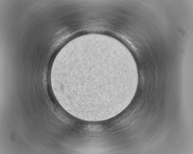 X0000114440487200911271641