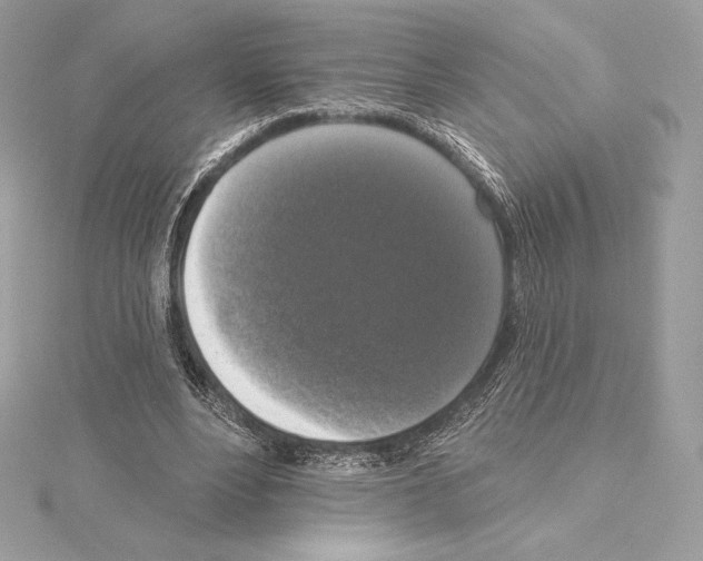 X0000114440488200911271641