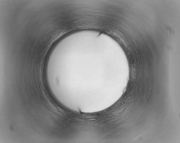 X0000114440491200911271641