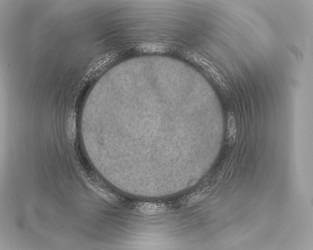 X0000114440494200911271641