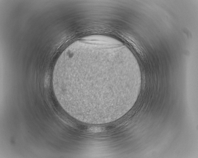 X0000114440499200911271641