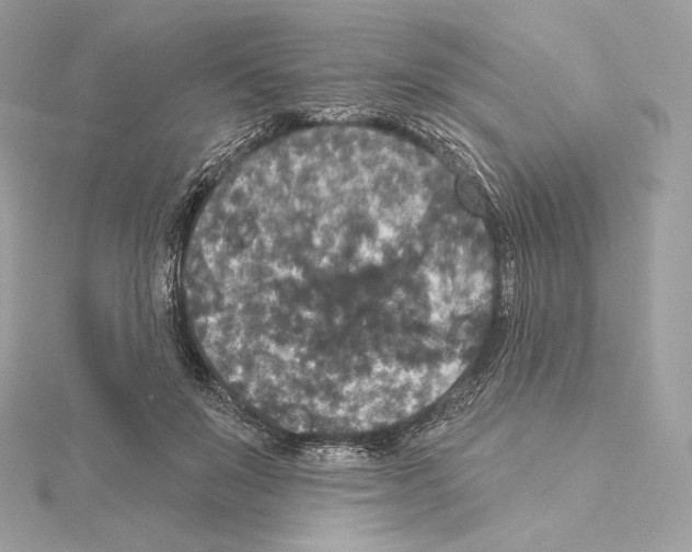X0000114440503200911271641