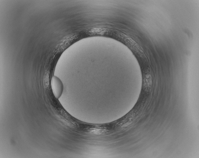 X0000114440504200911271641