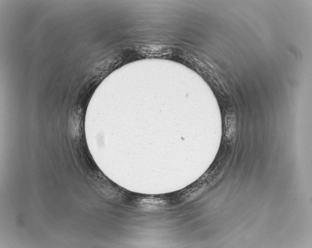 X0000114440515200911271641