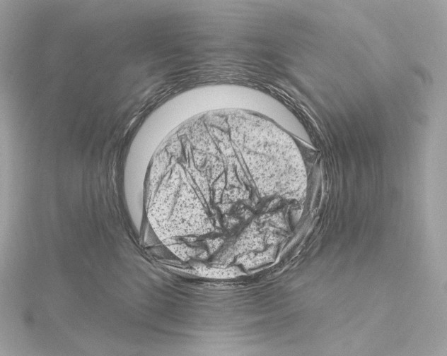 X0000114440520200911271641