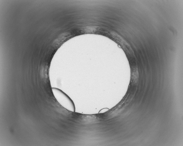 X0000114440525200911271641