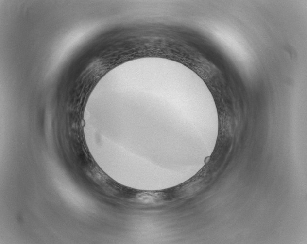 X0000114440526200911271641