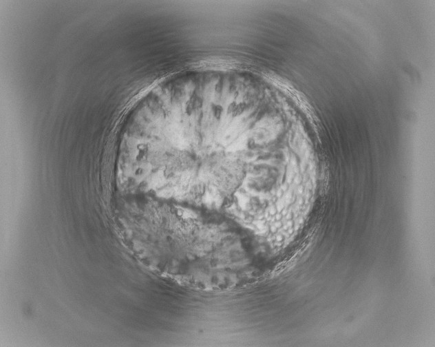 X0000114440529200911271640