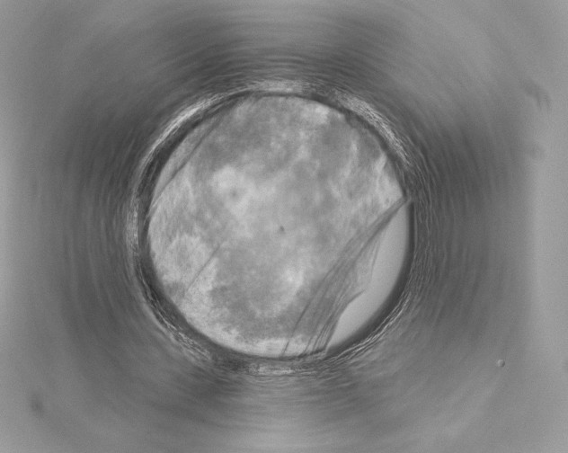 X0000114440531200911271640