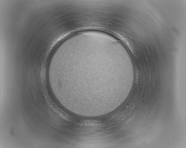 X0000114440535200911271640