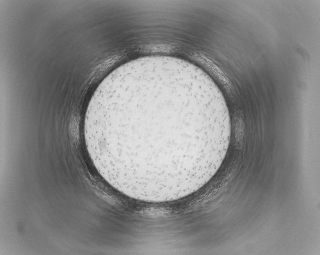 X0000114440537200911271640