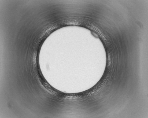 X0000114440538200911271640
