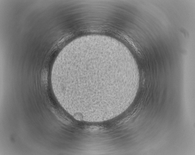 X0000114440542200911271640