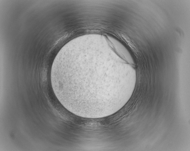 X0000114440543200911271640