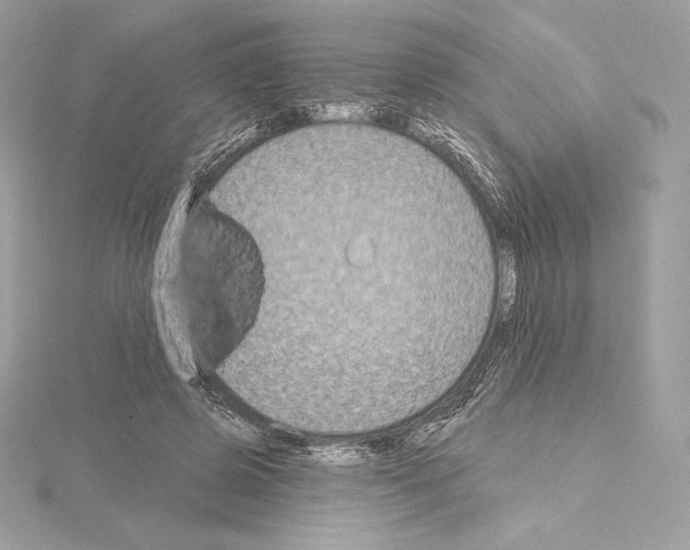 X0000114440545200911271640