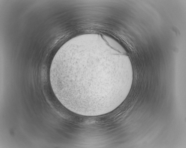X0000114440547200911271640