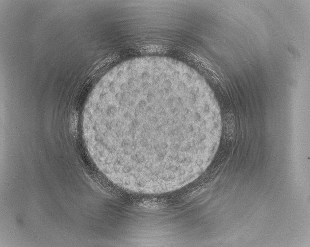 X0000114440550200911271640