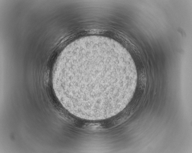 X0000114440554200911271640