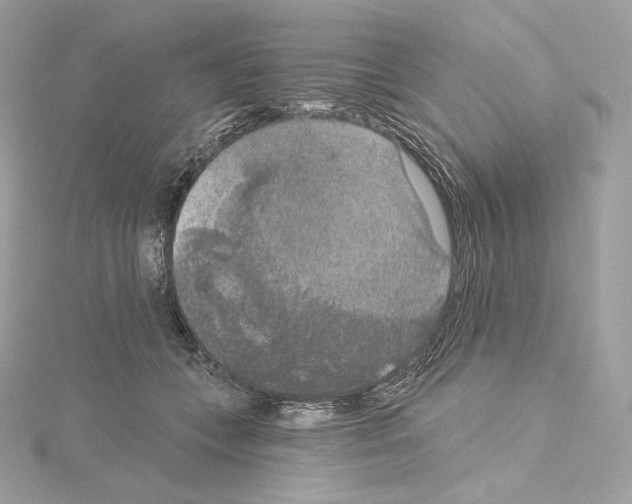 X0000114440559200911271640