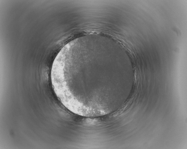 X0000114440570200911271641