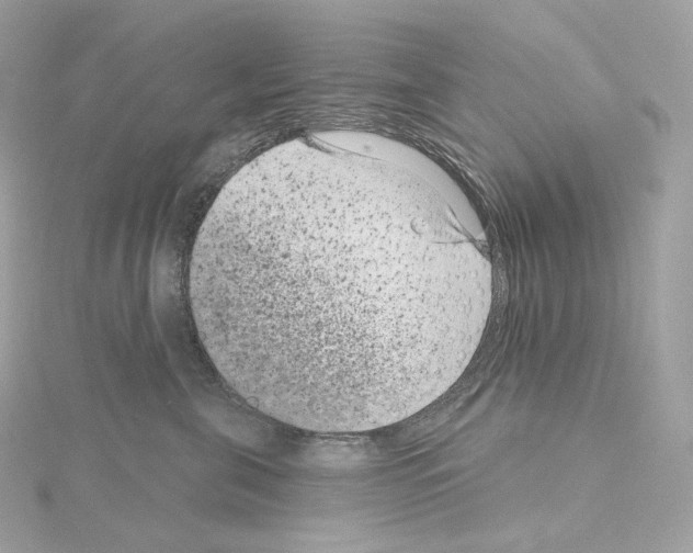 X0000114440571200911271641