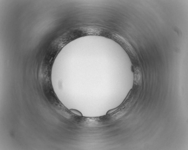 X0000114440573200911271641
