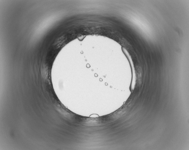 X0000114440574200911271641