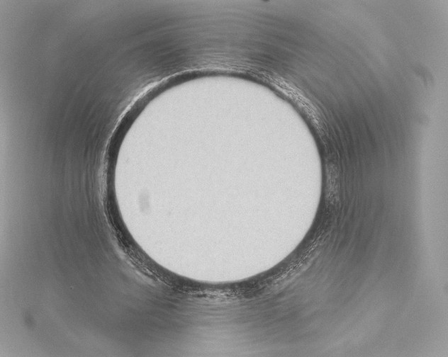 X0000114440580200911271640
