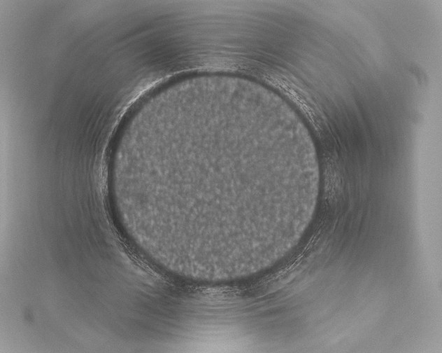 X0000114440584200911271640