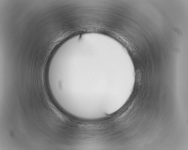 X0000114440589200911271640