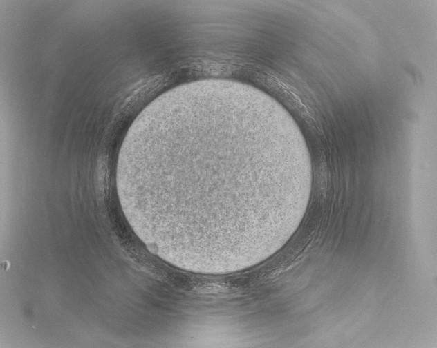 X0000114440594200911271640