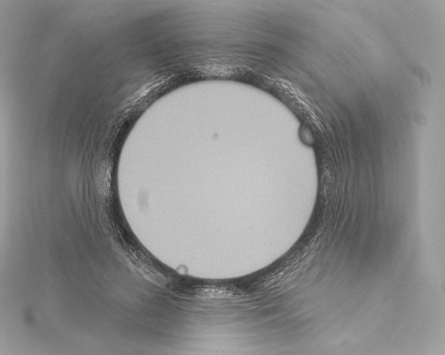 X0000114440596200911271640