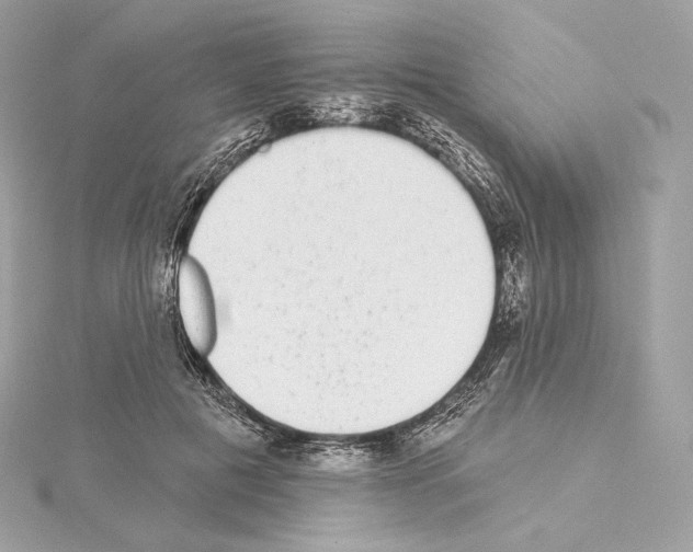 X0000114440601200911271640
