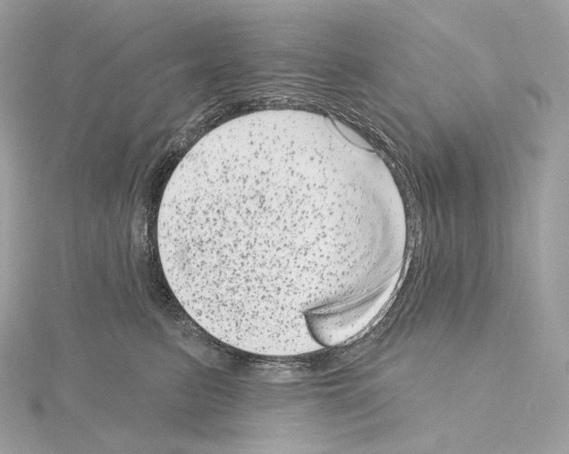 X0000114440615200911271639