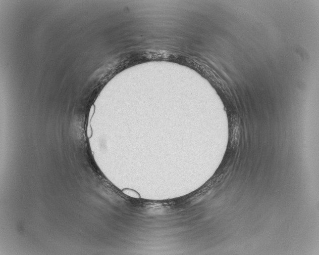 X0000114440616200911271639