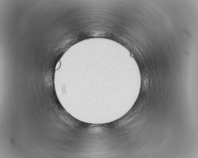 X0000114440620200911271639
