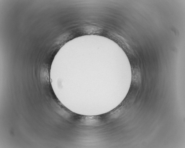 X0000114440622200911271639