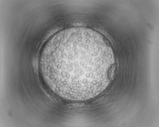 X0000114440626200911271639