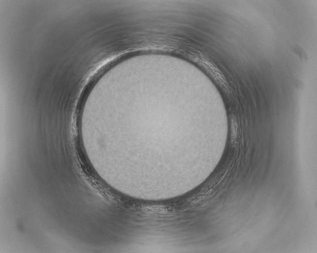 X0000114440628200911271639